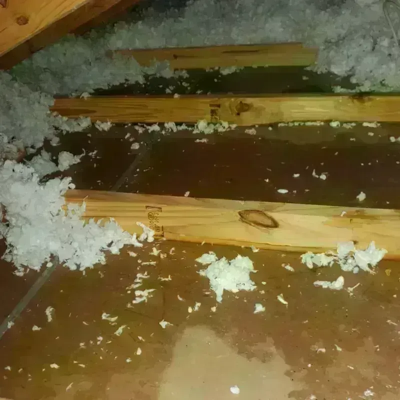 Attic Water Damage in Wickliffe, OH