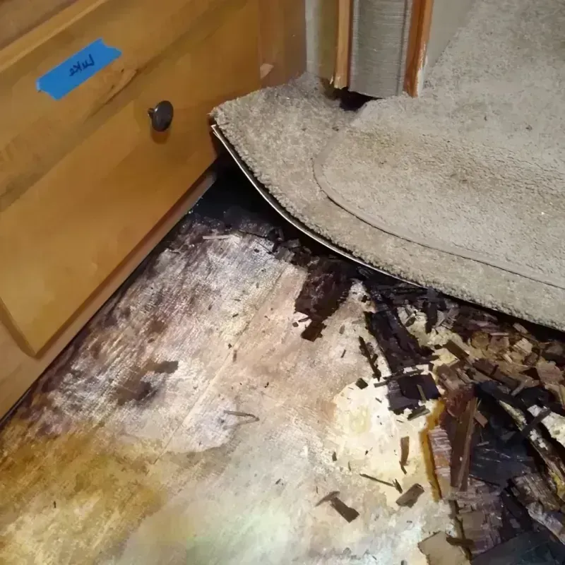 Best Wood Floor Water Damage Service in Wickliffe, OH